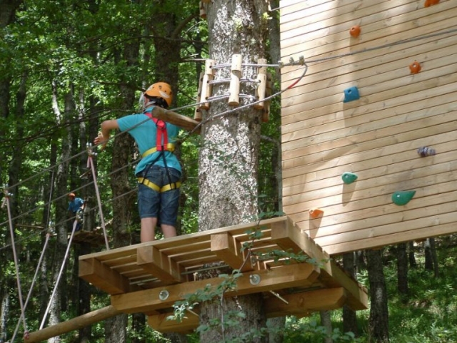 Piattaforme sugli alberi